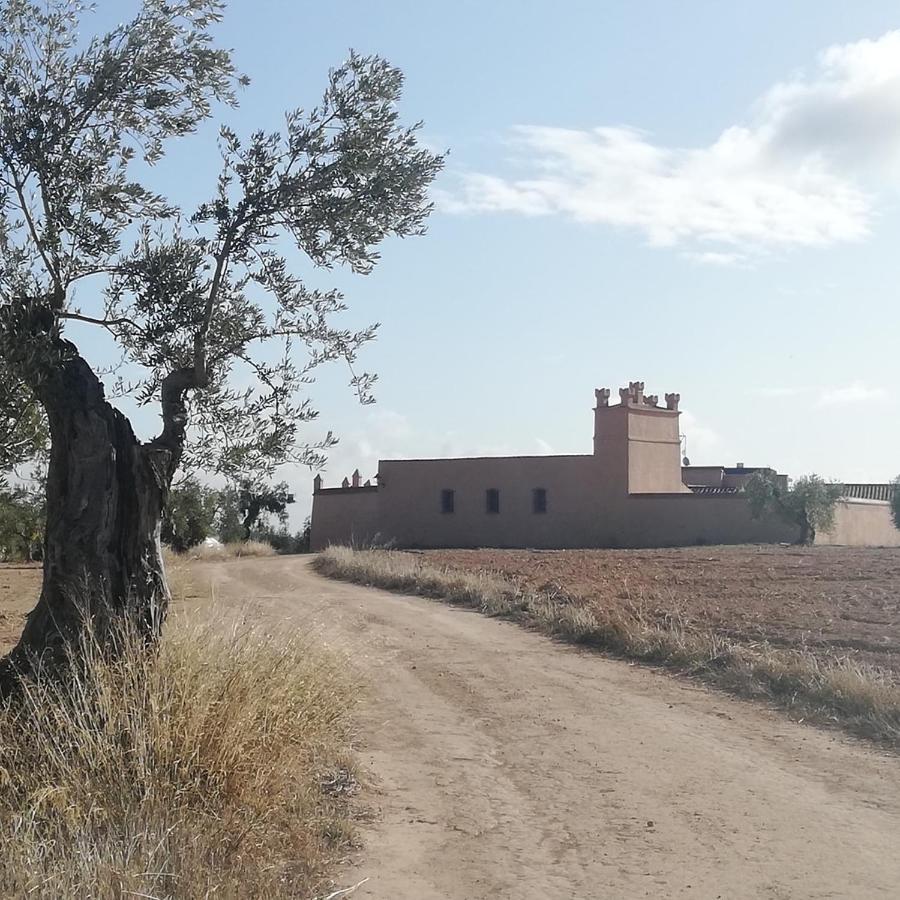 Albergue Turistico La Almazara Villafranca de los Barros Exterior foto