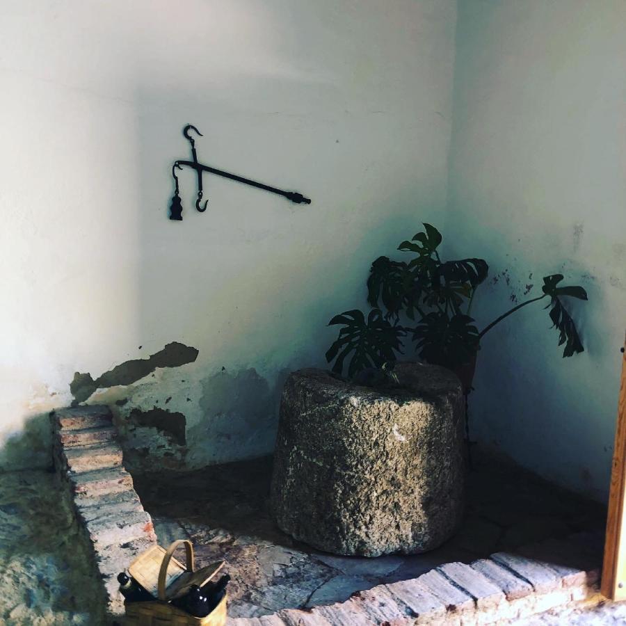Albergue Turistico La Almazara Villafranca de los Barros Exterior foto